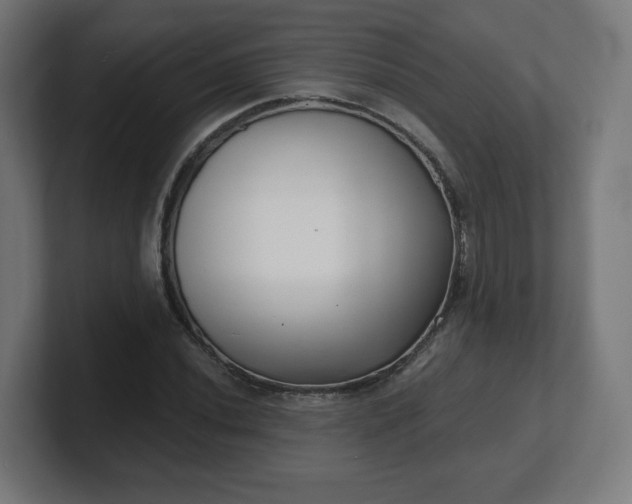 X0000101701020200807171510