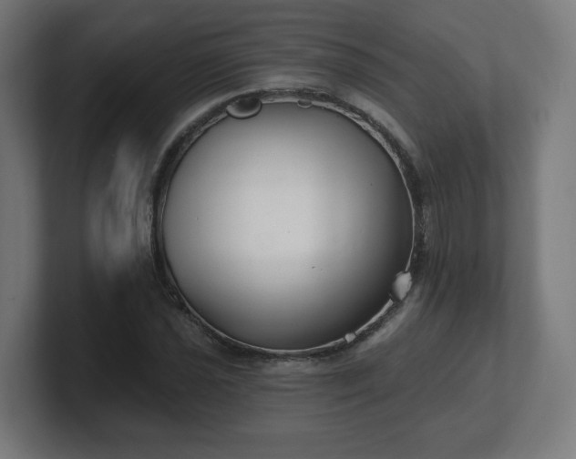 X0000101701021200807171510