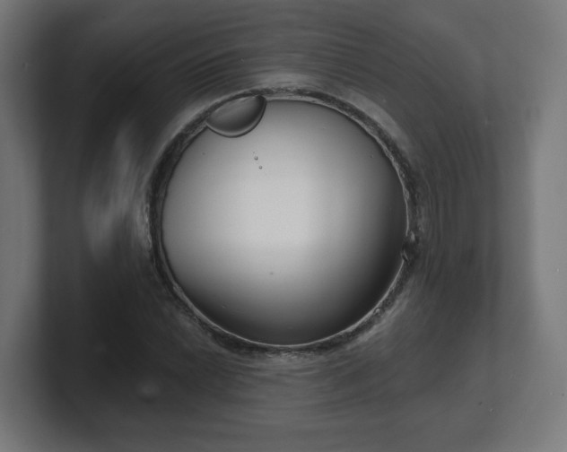 X0000101701022200807171510