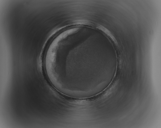 X0000101701024200807171510