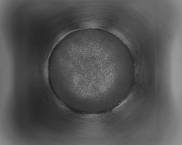 X0000101701031200807171510