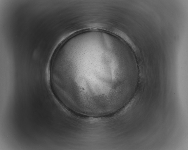 X0000101701032200807171510