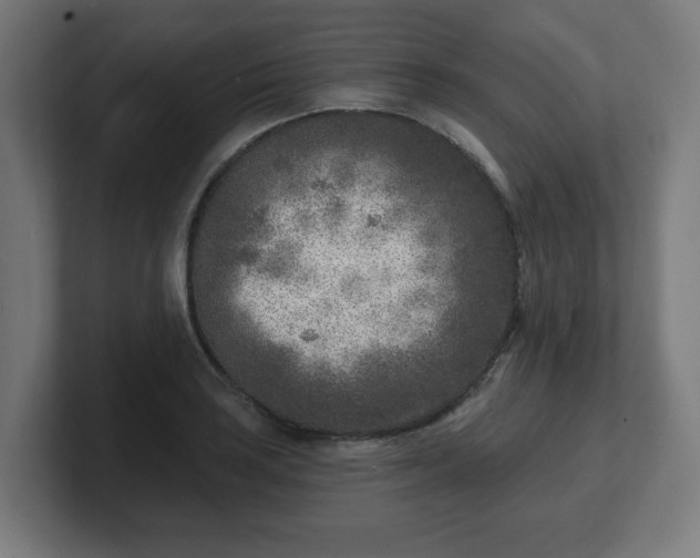 X0000101701035200807171510