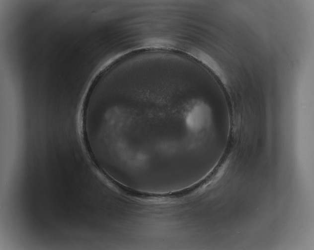 X0000101701037200807171510