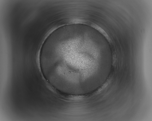 X0000101701039200807171510