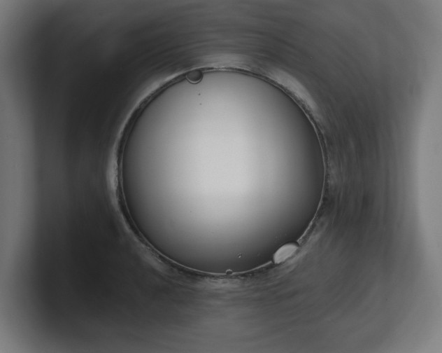 X0000101701040200807171510