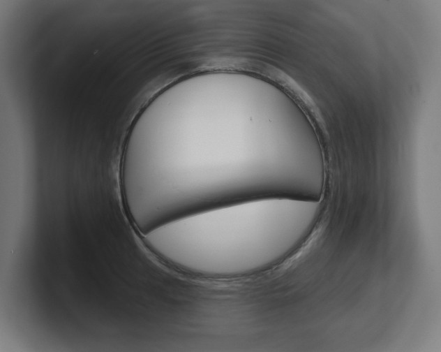 X0000101701041200807171510