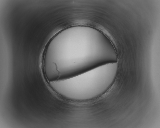 X0000101701042200807171510