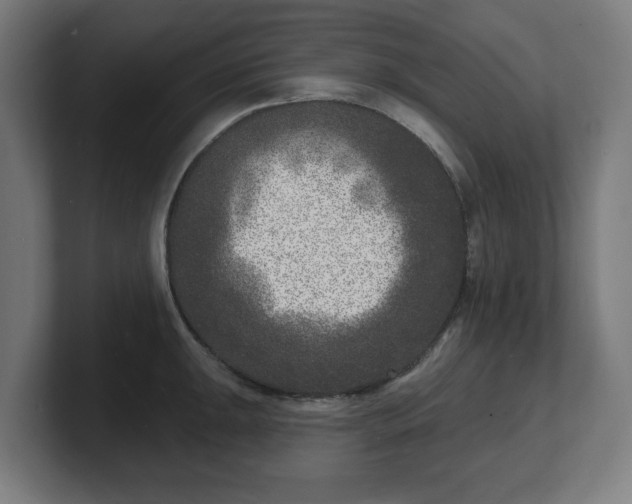 X0000101701047200807171510