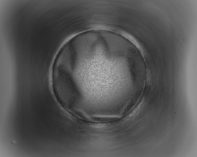 X0000101701048200807171510