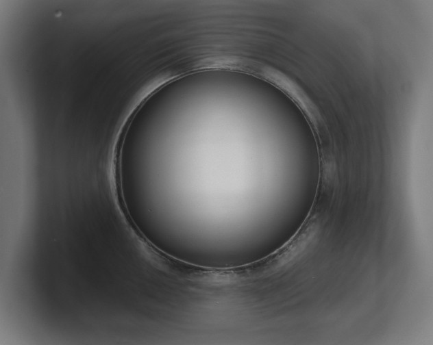 X0000101701050200807171510