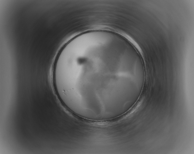 X0000101701053200807171510