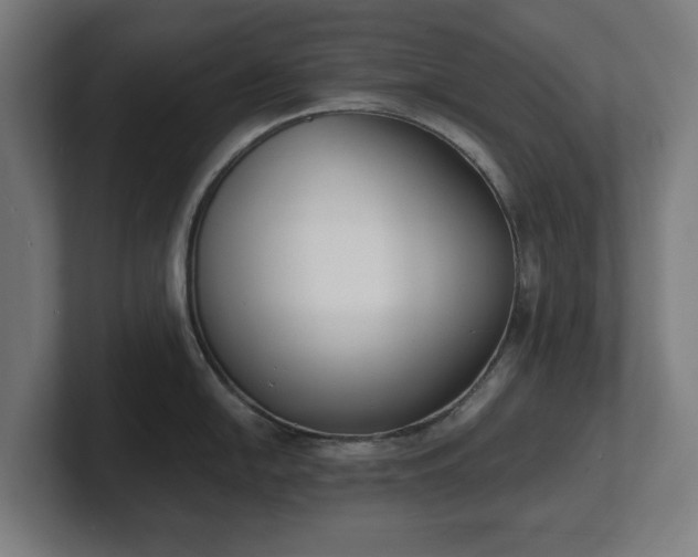 X0000101701054200807171510