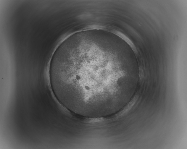 X0000101701055200807171510