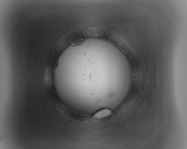 X0000101701058200807171510