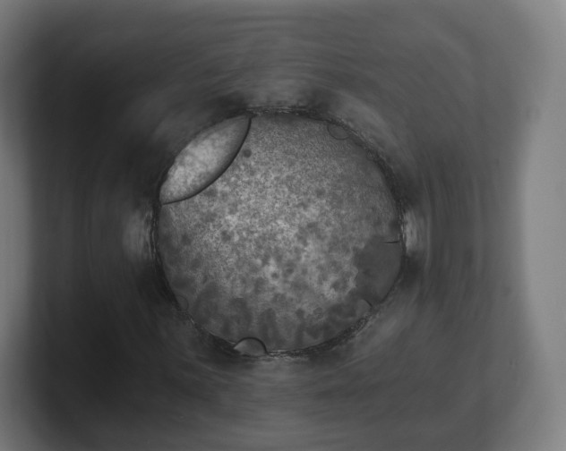 X0000101701059200807171510