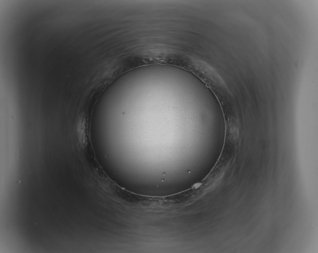 X0000101701060200807171510