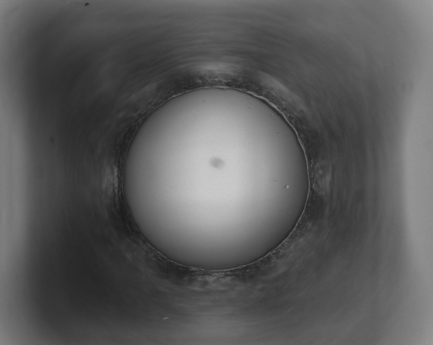 X0000101701061200807171510