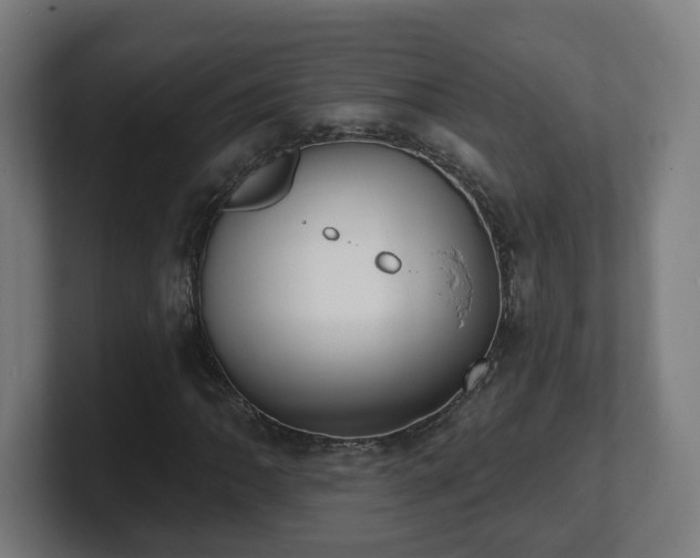 X0000101701062200807171510