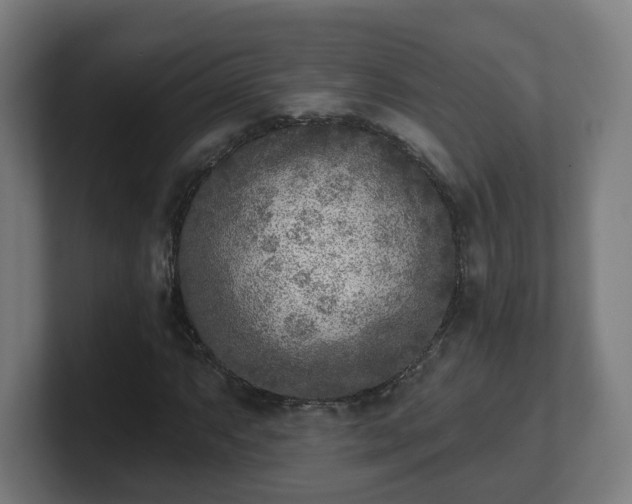 X0000101701063200807171510