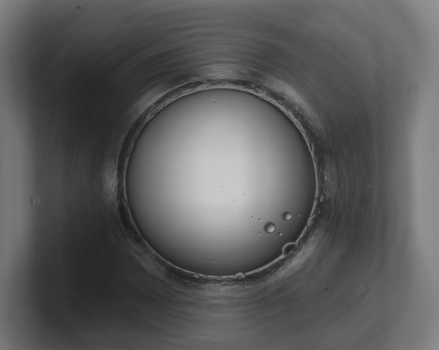 X0000101701065200807171510