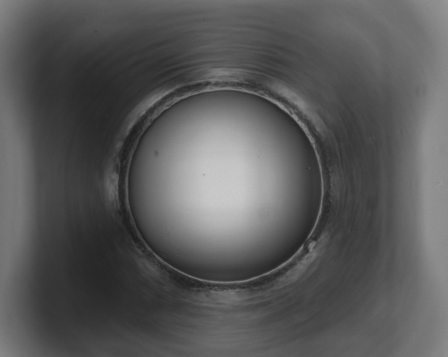 X0000101701066200807171510