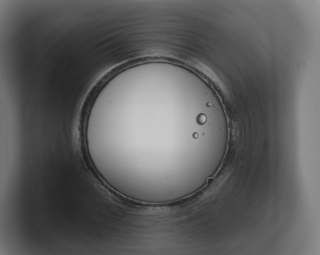 X0000101701068200807171509