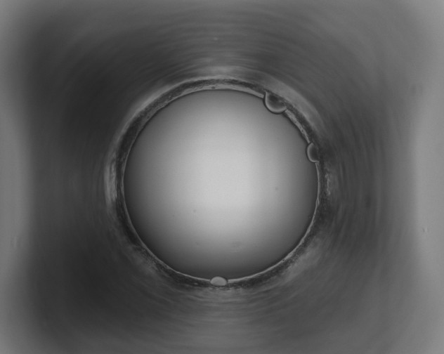 X0000101701069200807171509