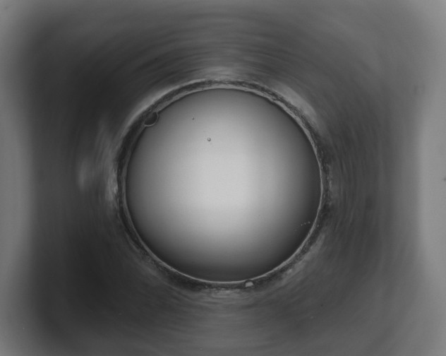 X0000101701070200807171509