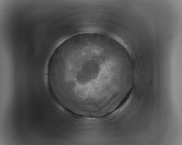 X0000101701071200807171509