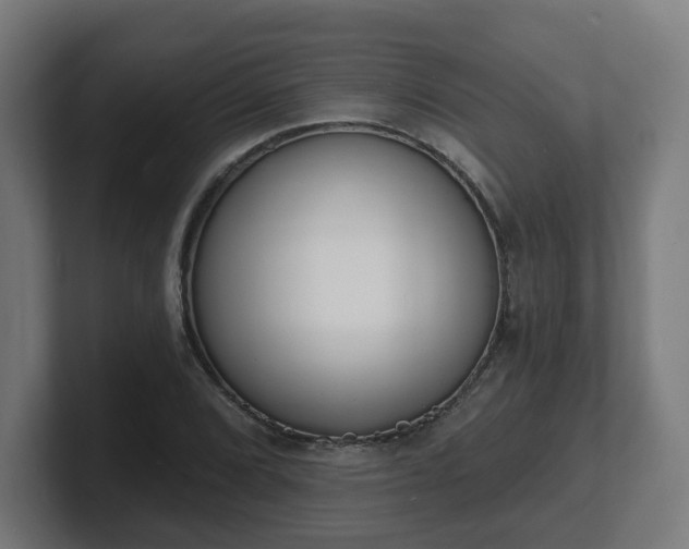 X0000101701072200807171509