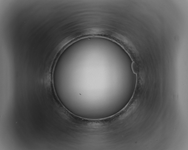 X0000101701073200807171509