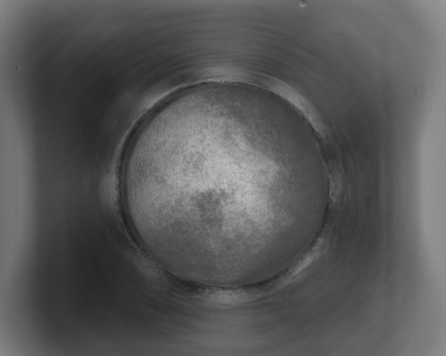 X0000101701074200807171509