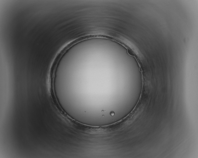 X0000101701076200807171509