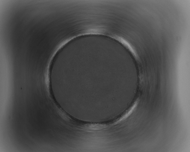 X0000101701077200807171509