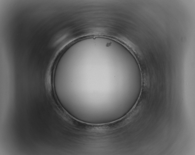 X0000101701078200807171509