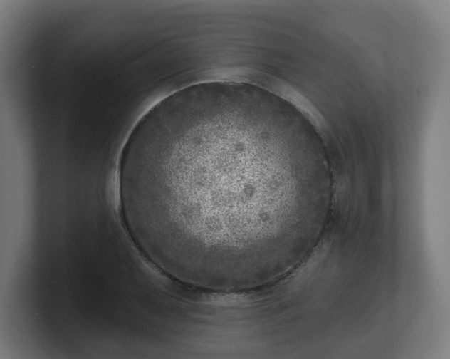 X0000101701079200807171509