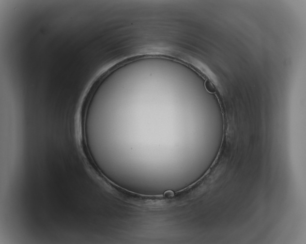 X0000101701080200807171509