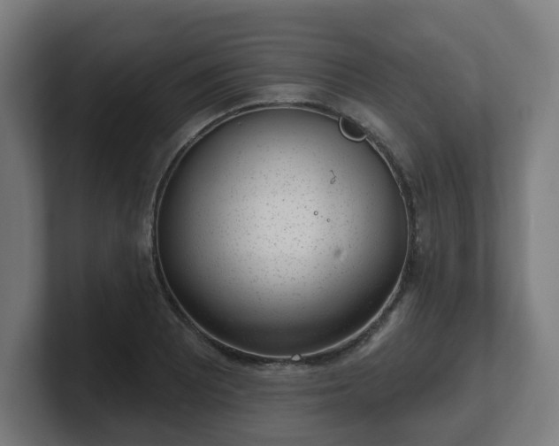 X0000101701081200807171509