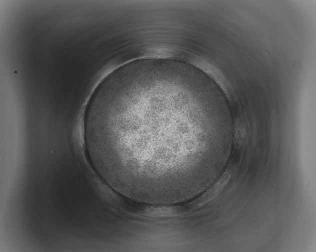 X0000101701083200807171509