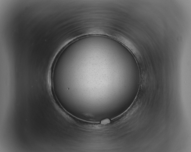 X0000101701084200807171509