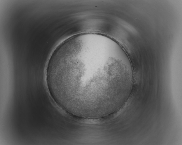 X0000101701086200807171509