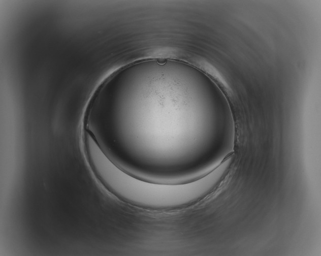 X0000101701087200807171509