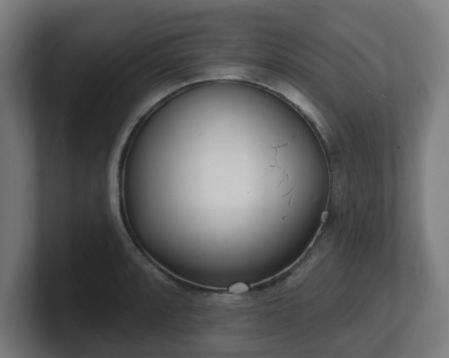 X0000101701088200807171509