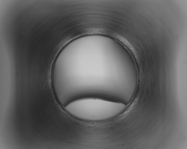 X0000101701089200807171509