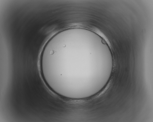 X0000101701090200807171509