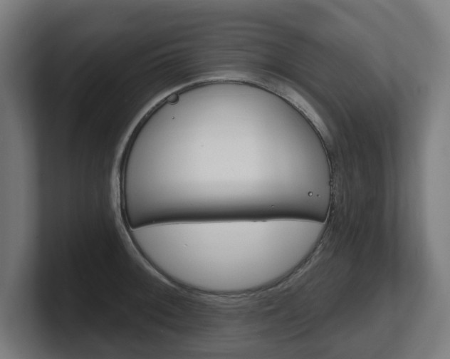 X0000101701092200807171509