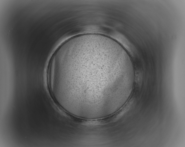 X0000101701094200807171509