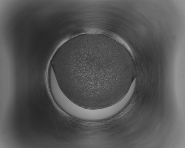 X0000101701095200807171509