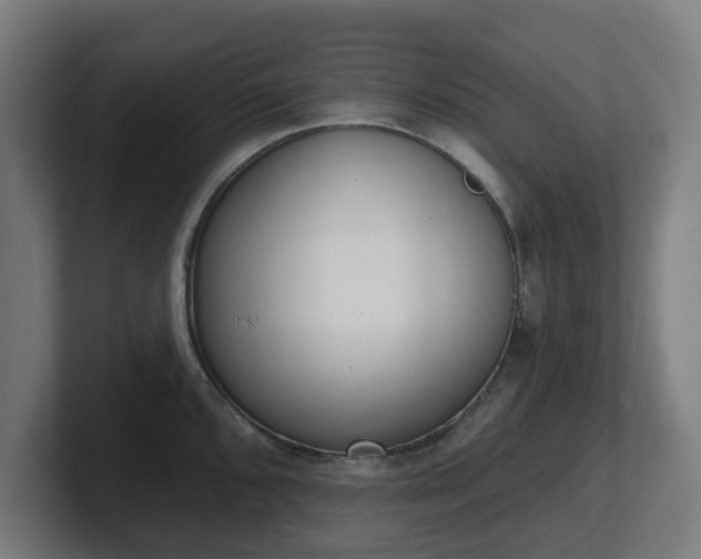 X0000101701096200807171509